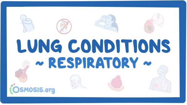 Respiratory System: Lung Conditions