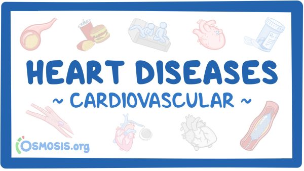 Cardiovascular System: Heart Diseases