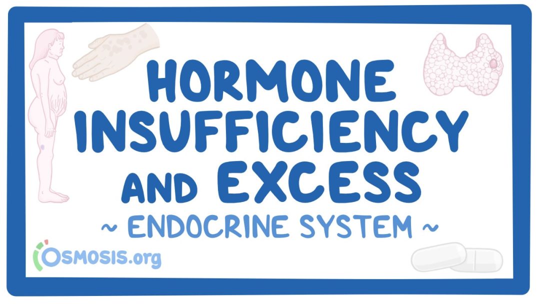 Endocrine System: Hormone Insufficiency And Excess