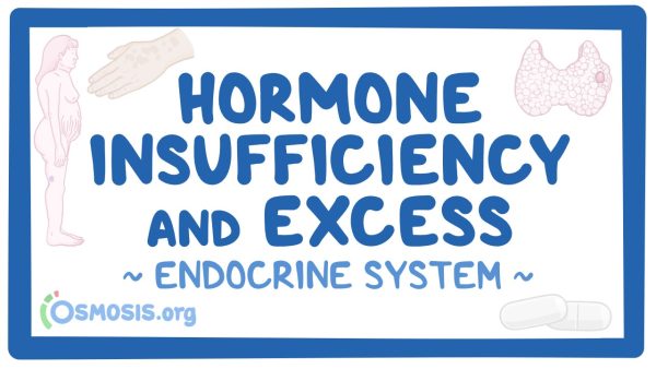 Endocrine System: Hormone Insufficiency And Excess