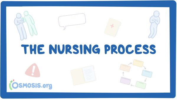 The Nursing Process