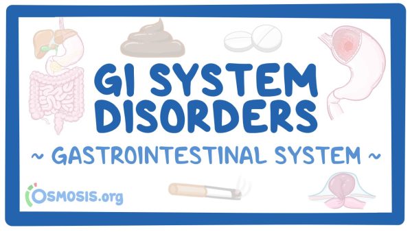 Gastrointestinal System: GI System Disorders