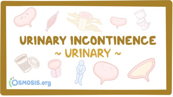 Urinary System: Urinary Incontinence