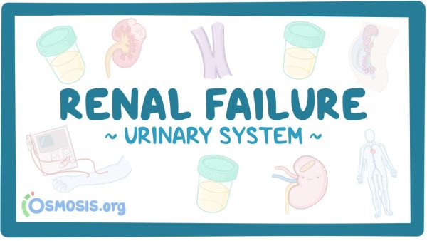 Urinary System: Renal Failure