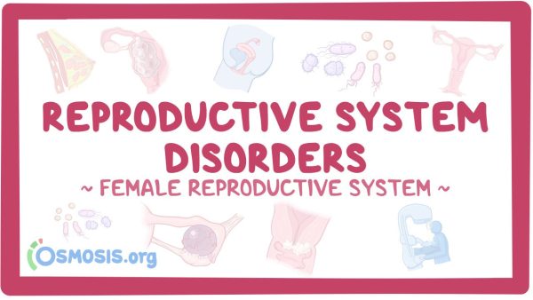 Female Reproductive System: Reproductive System Disorders