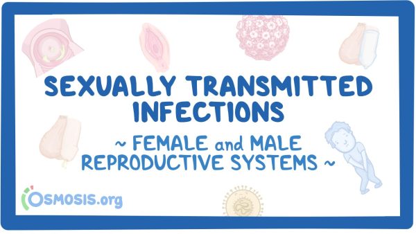 Female And Male Reproductive System: Sexually Transmitted Infections