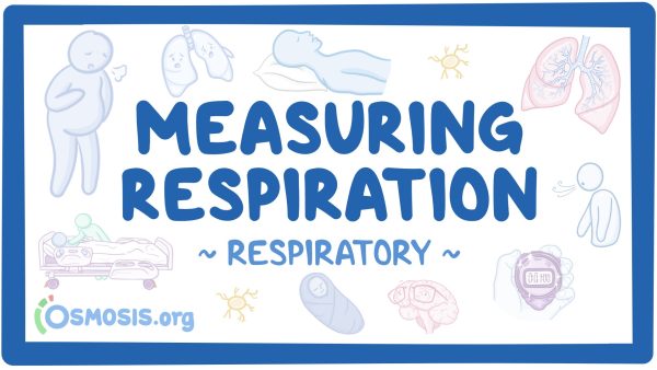 Respiratory: Measuring Respiration
