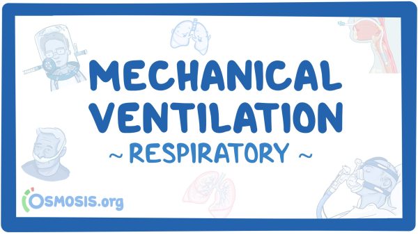 Respiratory: Mechanical Ventilation