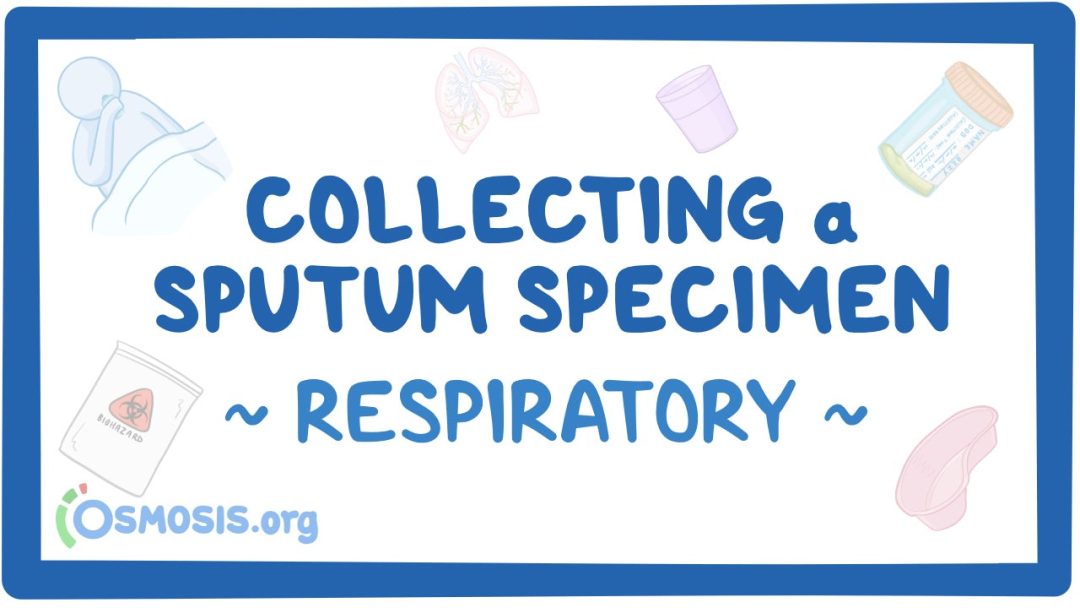 Respiratory: Collecting A Sputum Specimen