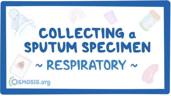 Respiratory: Collecting A Sputum Specimen