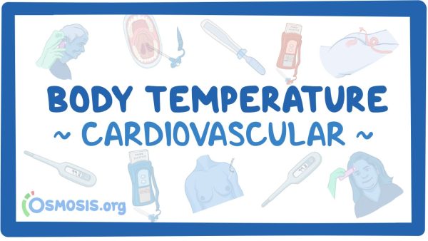 Cardiovascular: Body Temperature