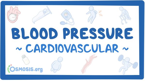 Cardiovascular: Blood Pressure