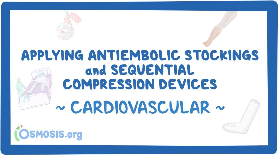 Cardiovascular: Applying Antiembolic Stockings And Sequential Compression Devices