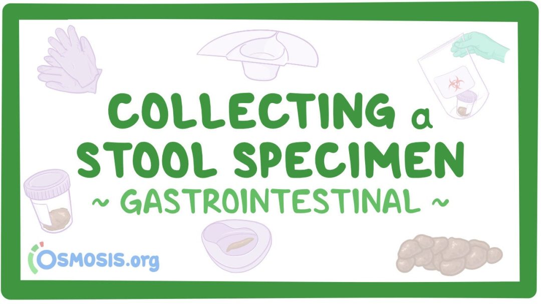Gastrointestinal: Collecting A Stool Specimen