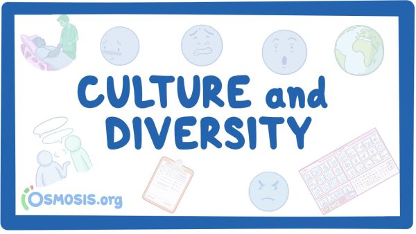 Culture And Diversity