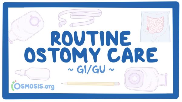 Gastrointestinal: Routine Ostomy Care