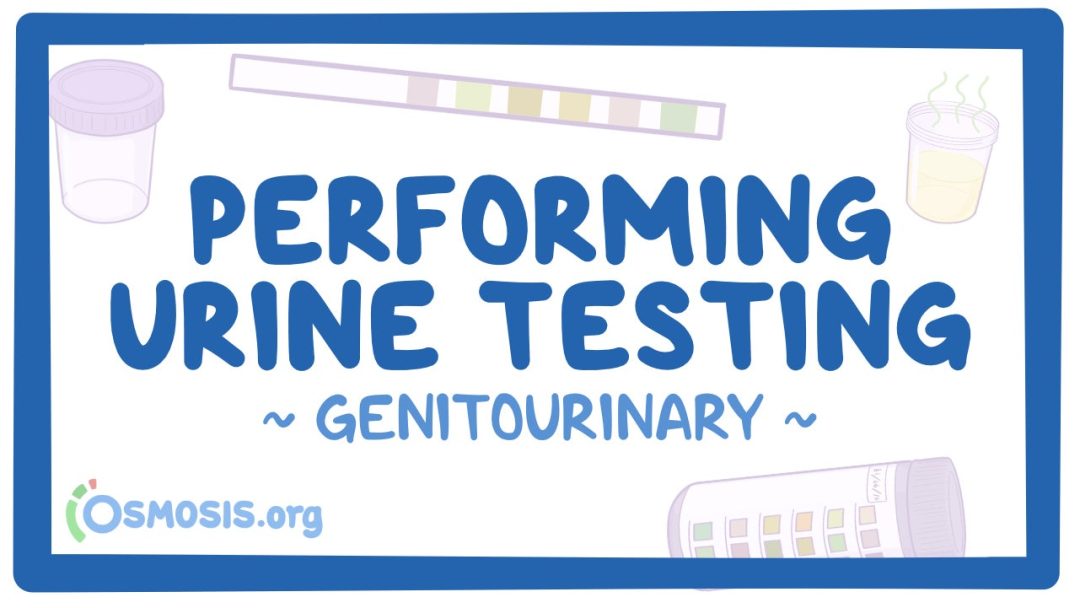 Genitourinary: Performing Urine Testing