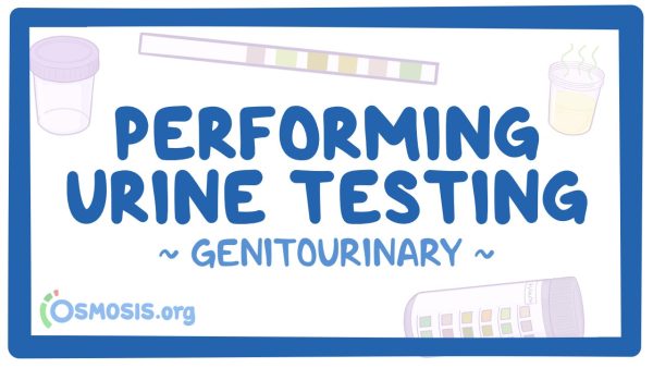 Genitourinary: Performing Urine Testing
