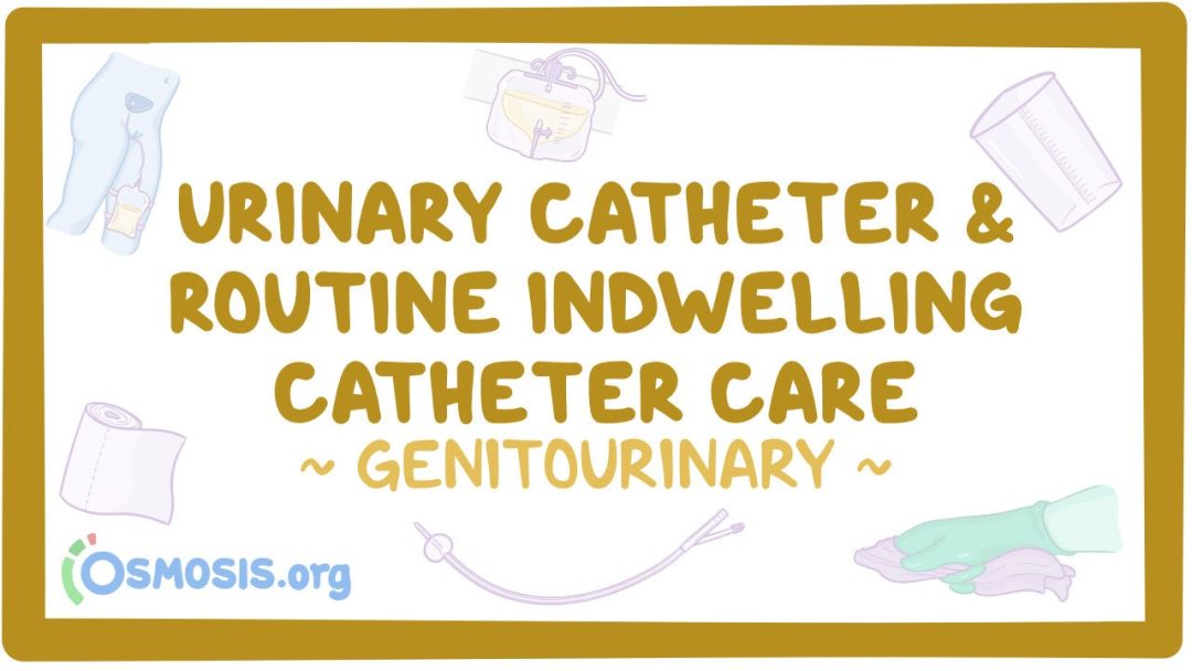 Genitourinary: Urinary Catheters And Routine Indwelling Catheter Care