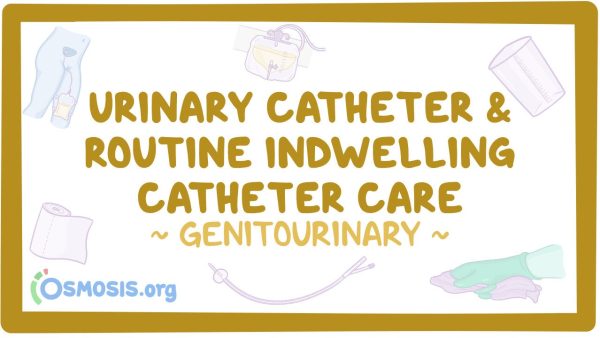 Genitourinary: Urinary Catheters And Routine Indwelling Catheter Care