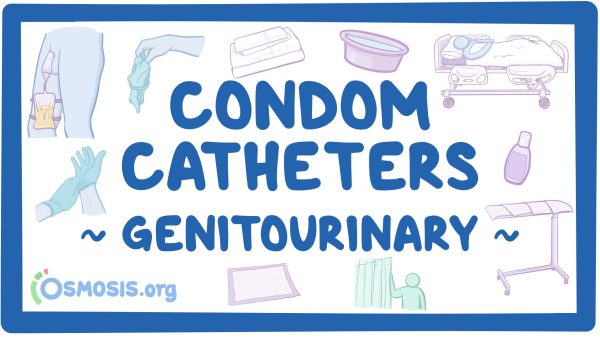 Genitourinary: Condom Catheter