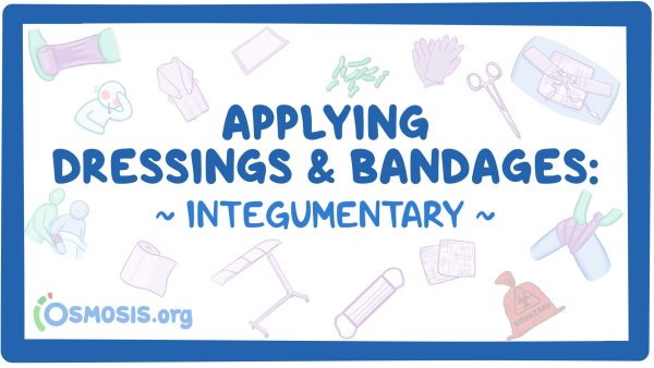 Integumentary: Applying Dressings And Bandages