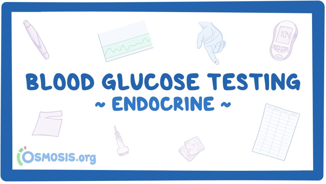 Endocrine: Blood Glucose Testing