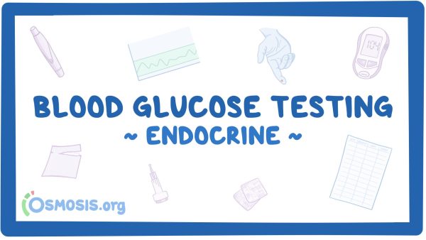 Endocrine: Blood Glucose Testing