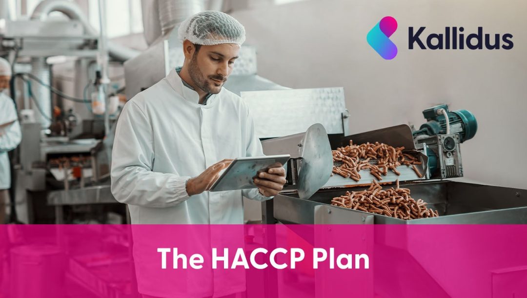 The HACCP plan