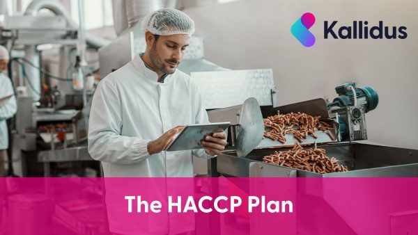 The HACCP plan
