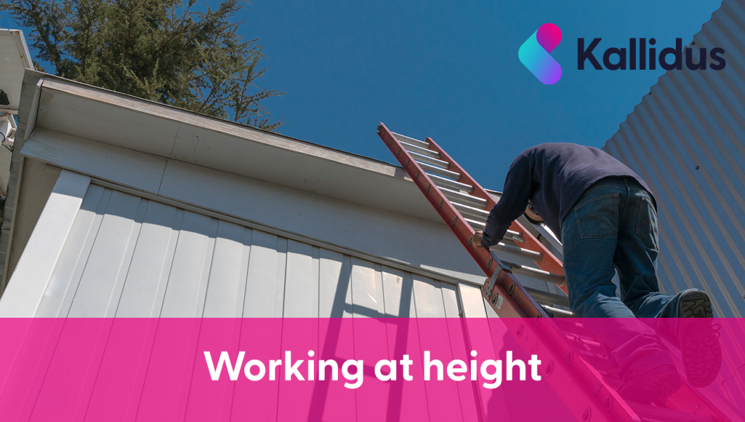 Working at Height (US)
