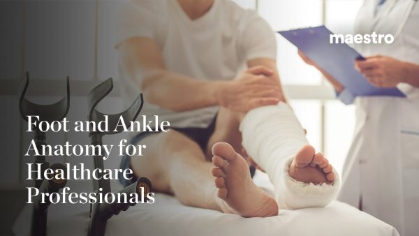 Foot and Ankle Anatomy for Healthcare Professionals
