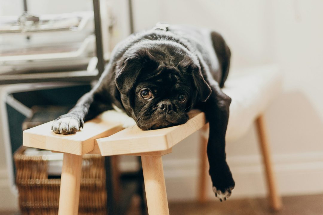 Reducing Complacency in the Workplace