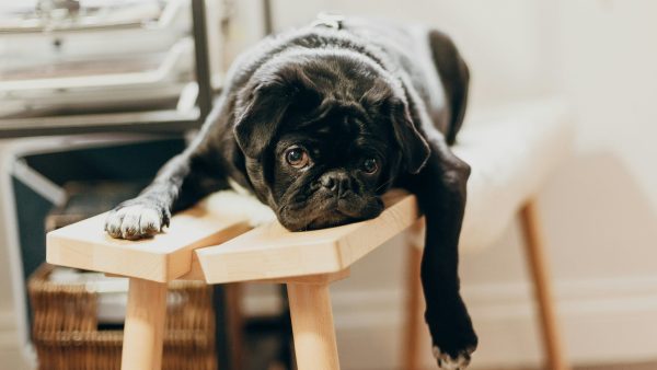Reducing Complacency in the Workplace