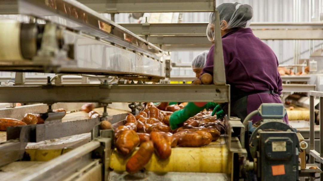 HF M&P: 01. An Introduction to Human Factors in Manufacturing and Production