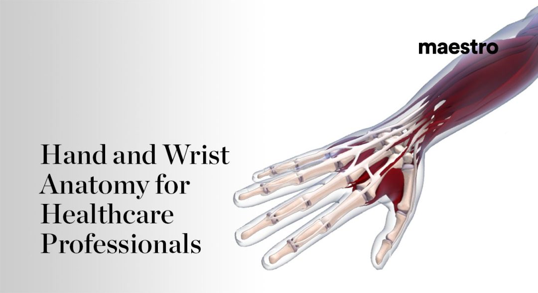 Hand and Wrist Anatomy for Healthcare Professionals
