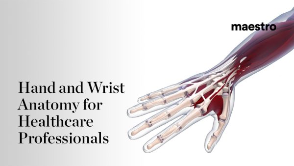 Hand and Wrist Anatomy for Healthcare Professionals