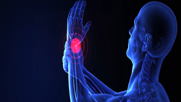 Hand and Wrist Injuries: How the Hand Works