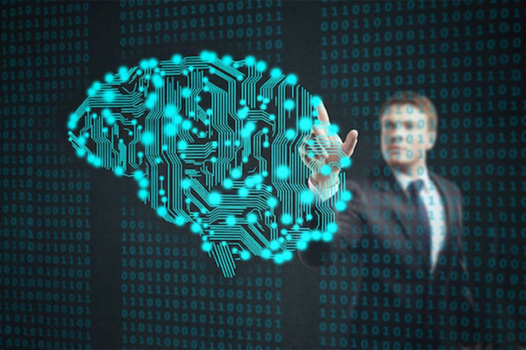 Decoding the Brain