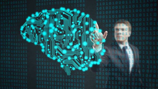 Decoding the Brain