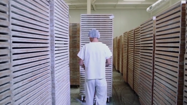 Back Safety: How Your Back Works