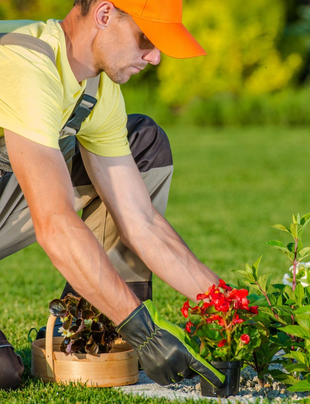 Pro-Tips: Spring Landscaping Essentials to Enhance Your Community and Your Brand