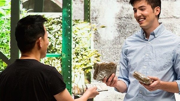 Legalization, Laws and Regulations in the Real World of Cannabis Real Estate