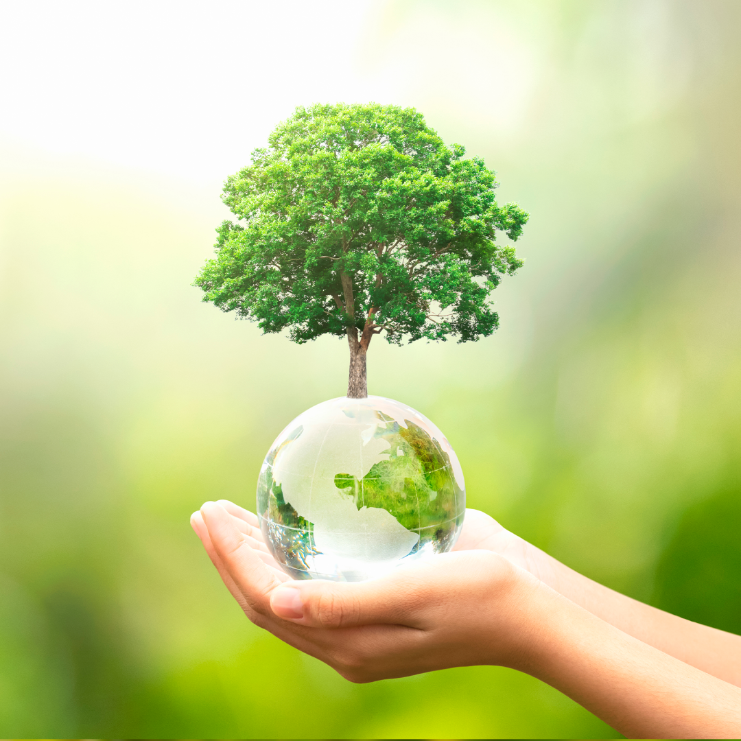 Introducción A La Biodiversidad