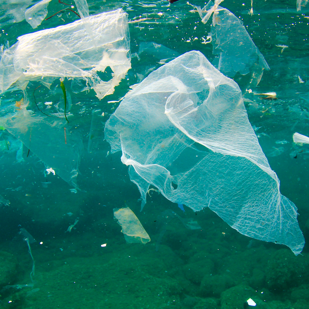 Pour une plan√®te sans plastique