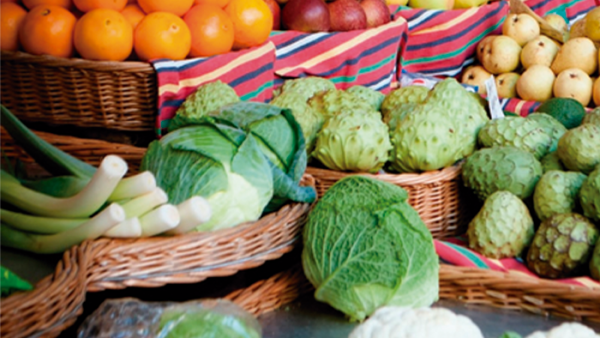 Food Safety to Guarantee Health and Sustainability