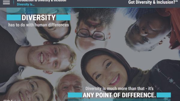 Got Diversity and Inclusion?‚Ñ¢: An Introduction to Diversity and Inclusion