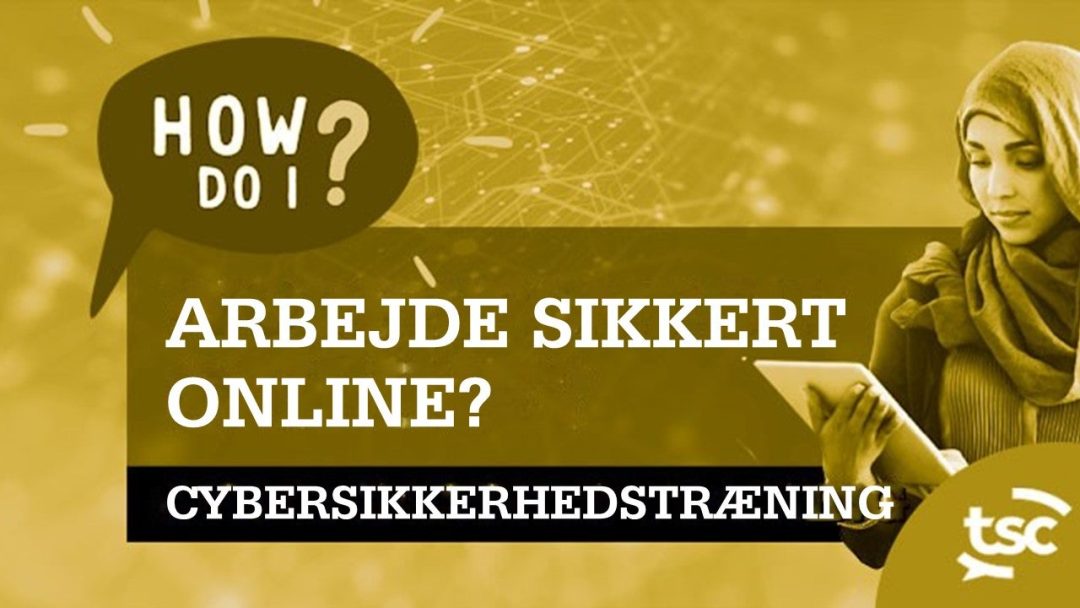 Cybersikkerhedsbevidsthed: Hvordan arbejder jeg sikkert online?