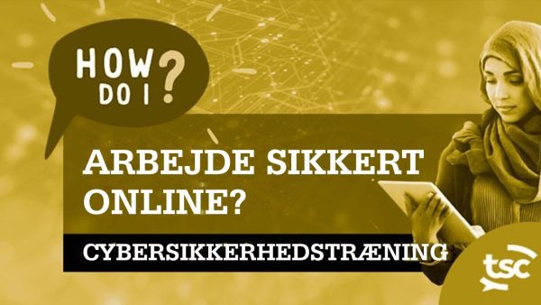 Cybersikkerhedsbevidsthed: Hvordan arbejder jeg sikkert online?