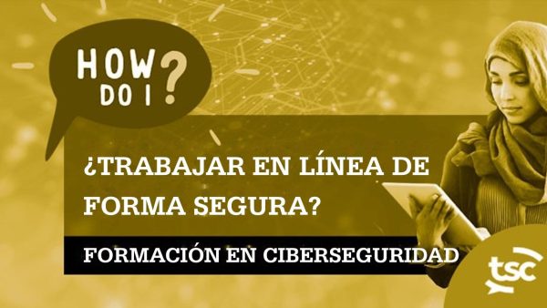 Concienciación sobre seguridad cibernética: ¬øCómo trabajo de forma segura en línea?